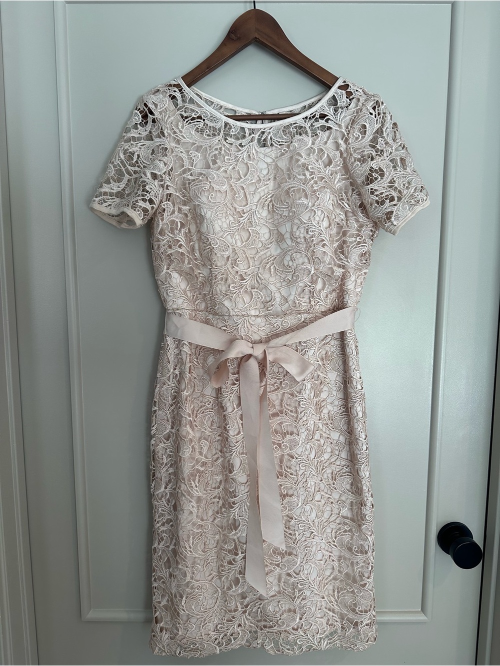 Adriana Papell Women's Lace Overlay Belted Dress in Blush